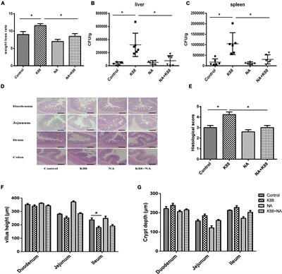 Effects of Niacin on Resistance to Enterotoxigenic Escherichia coli Infection in Weaned Piglets